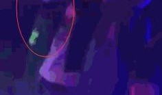 成都最新爆料新闻酒吧视频,视频揭露惊人一幕！